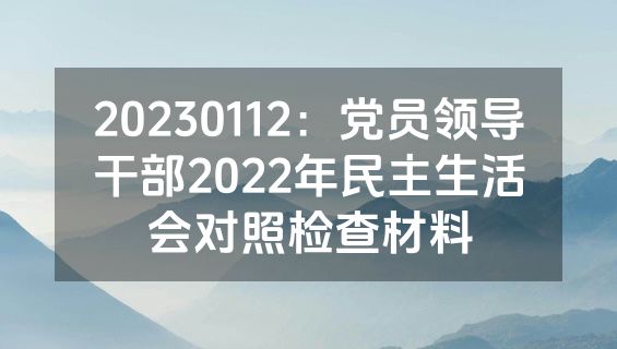 20230112：党员领导干部2022年民主生活会对照检查材料