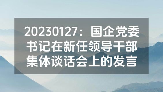 20230127：国企党委书记在新任领导干部集体谈话会上的发言