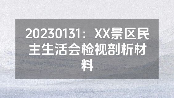 20230131：XX景区民主生活会检视剖析材料