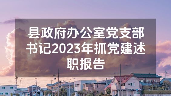 县政府办公室党支部书记2023年抓党建述职报告
