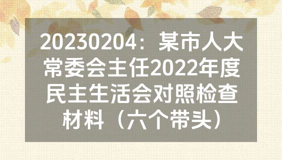 20230204：某市人大常委会主任2022年度民主生活会对照检查材料（六个带头）