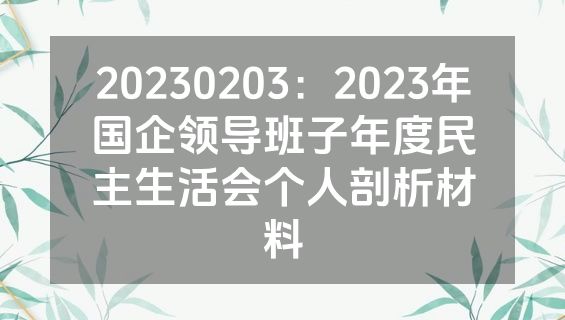 20230203：2023年国企领导班子年度民主生活会个人剖析材料