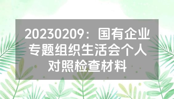 20230209：国有企业专题组织生活会个人对照检查材料