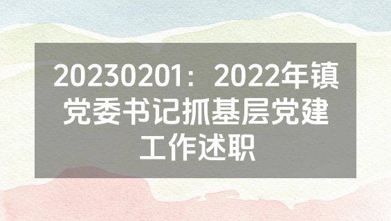 20230201：2022年镇党委书记抓基层党建工作述职