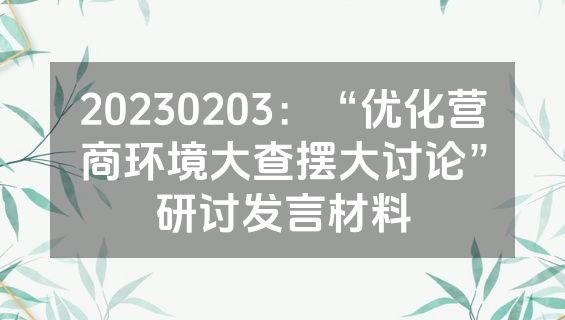 20230203：“优化营商环境大查摆大讨论”研讨发言材料
