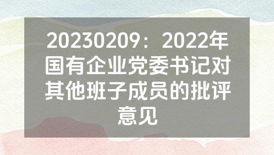 20230209：2022年国有企业党委书记对其他班子成员的批评意见