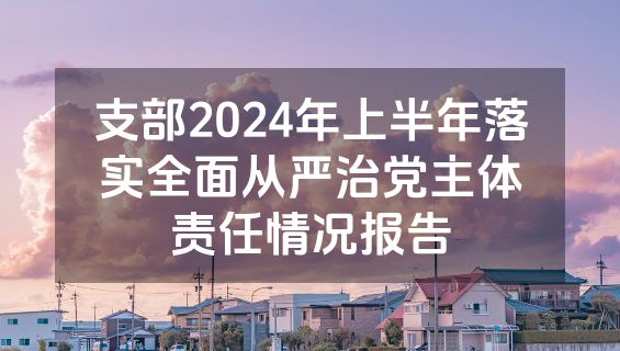 支部2024年上半年落实全面从严治党主体责任情况报告