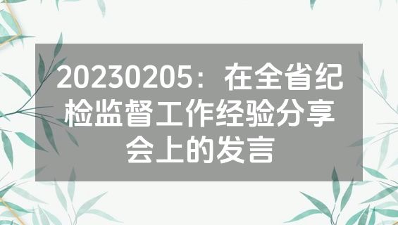 20230205：在全省纪检监督工作经验分享会上的发言