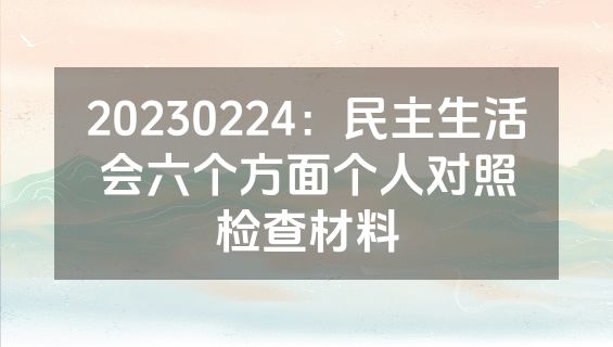 20230224：民主生活会六个方面个人对照检查材料