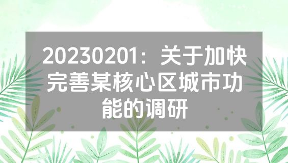 20230201：关于加快完善某核心区城市功能的调研