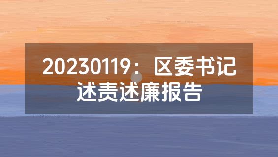 20230119：区委书记述责述廉报告