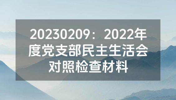 20230209：2022年度党支部民主生活会对照检查材料