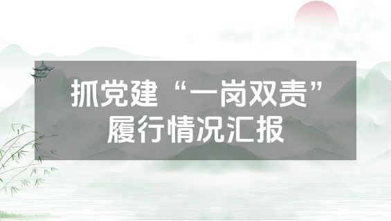 抓党建“一岗双责”履行情况汇报