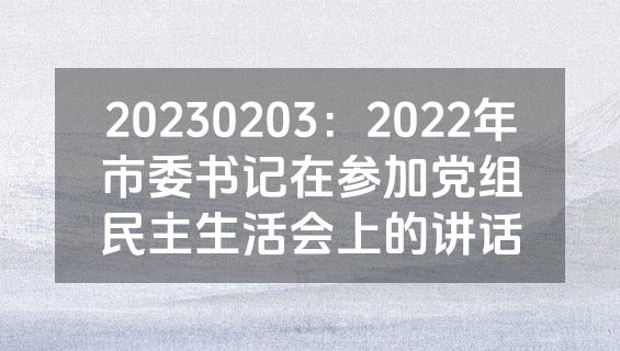 20230203：2022年市委书记在参加党组民主生活会上的讲话