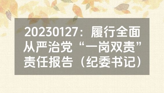 20230127：履行全面从严治党“一岗双责”责任报告（纪委书记）