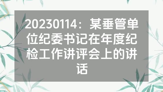 20230114：某垂管单位纪委书记在年度纪检工作讲评会上的讲话