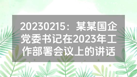 20230215：某某国企党委书记在2023年工作部署会议上的讲话