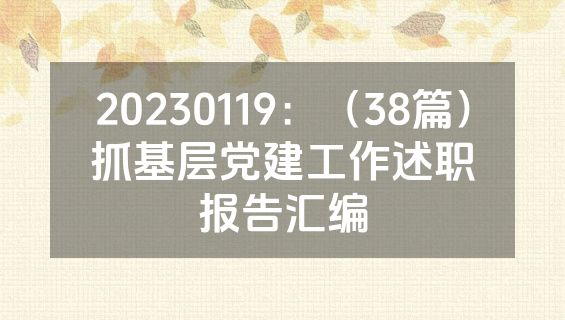 20230119：（38篇）抓基层党建工作述职报告汇编