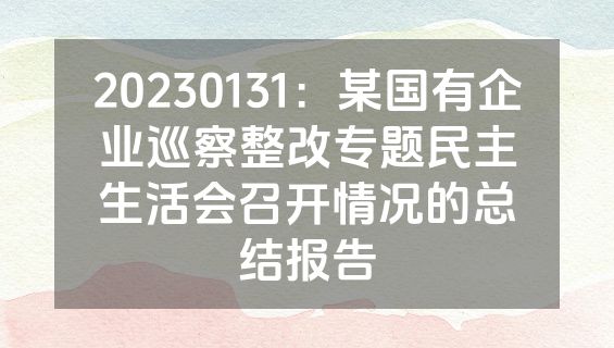 20230131：某国有企业巡察整改专题民主生活会召开情况的总结报告