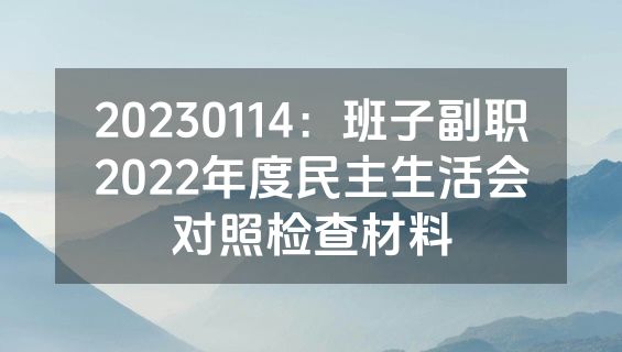 20230114：班子副职2022年度民主生活会对照检查材料