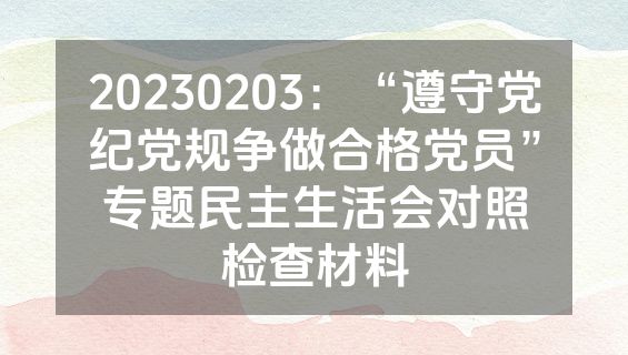 20230203：“遵守党纪党规争做合格党员”专题民主生活会对照检查材料