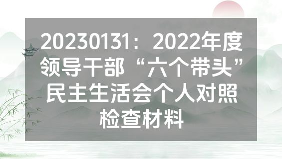 20230131：2022年度领导干部“六个带头”民主生活会个人对照检查材料
