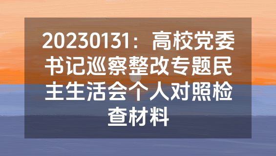 20230131：高校党委书记巡察整改专题民主生活会个人对照检查材料