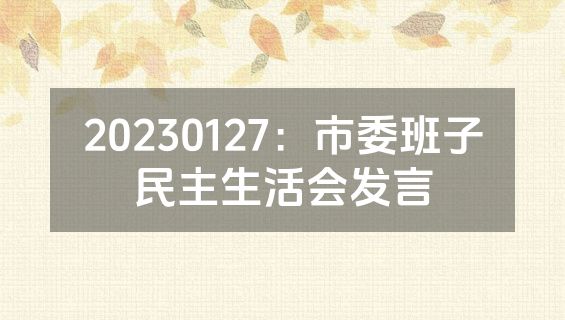 20230127：市委班子民主生活会发言