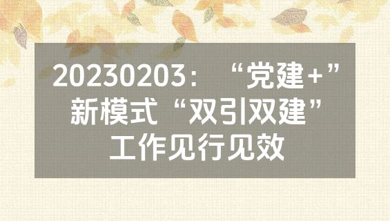 20230203：“党建+”新模式“双引双建”工作见行见效