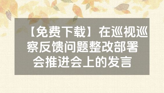 【免费下载】在巡视巡察反馈问题整改部署会推进会上的发言