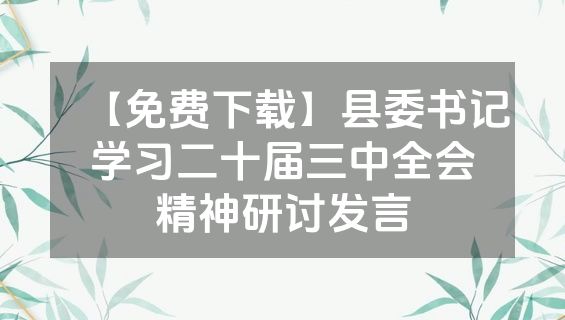 【免费下载】县委书记学习二十届三中全会精神研讨发言