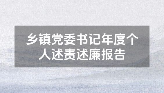 乡镇党委书记年度个人述责述廉报告