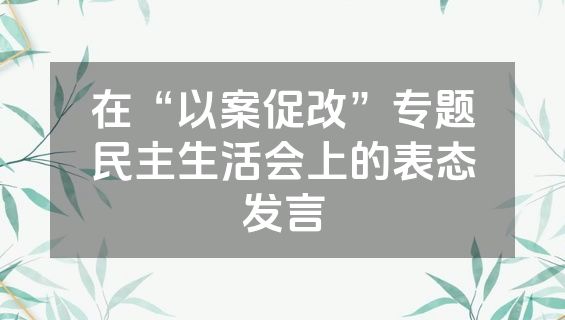 在“以案促改”专题民主生活会上的表态发言