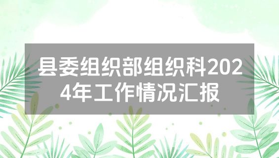 县委组织部组织科2024年工作情况汇报