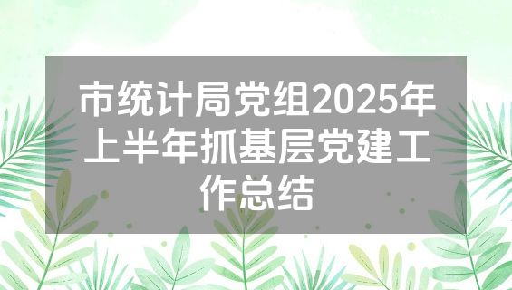 市统计局党组2025年上半年抓基层党建工作总结