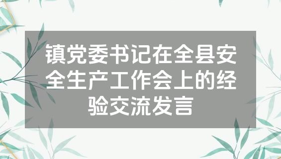 镇党委书记在全县安全生产工作会上的经验交流发言