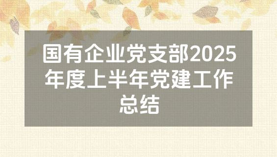 国有企业党支部2025年度上半年党建工作总结