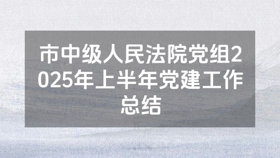 市中级人民法院党组2025年上半年党建工作总结