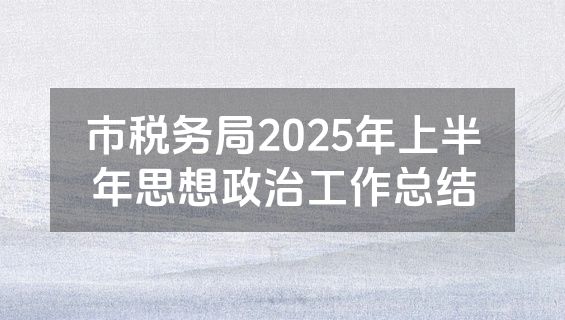 市税务局2025年上半年思想政治工作总结