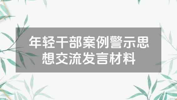 年轻干部案例警示思想交流发言材料