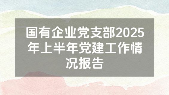 国有企业党支部2025年上半年党建工作情况报告