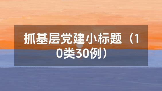抓基层党建小标题（10类30例）