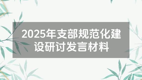 2025年支部规范化建设研讨发言材料