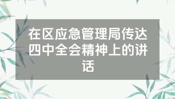 在区应急管理局传达四中全会精神上的讲话