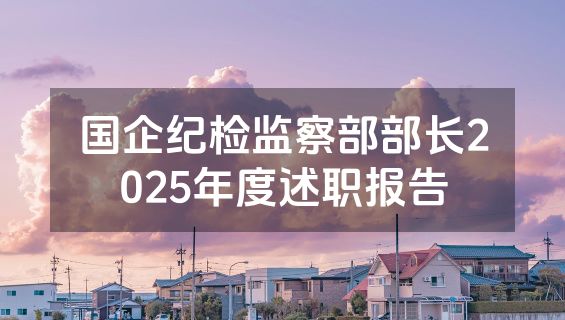 国企纪检监察部部长2025年度述职报告