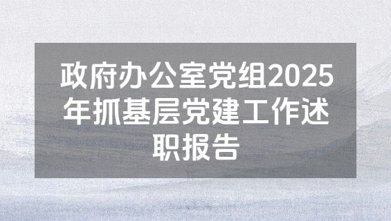 政府办公室党组2025年抓基层党建工作述职报告